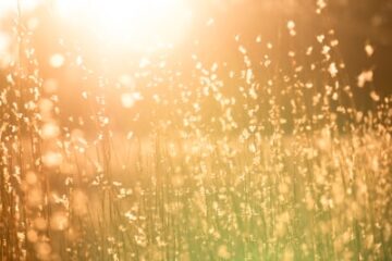 頭のいい人がする 特徴